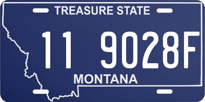MT license plate 119028F