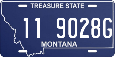 MT license plate 119028G