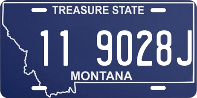 MT license plate 119028J