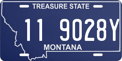 MT license plate 119028Y
