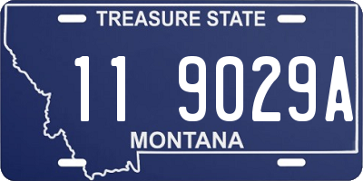 MT license plate 119029A