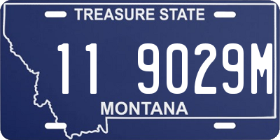 MT license plate 119029M