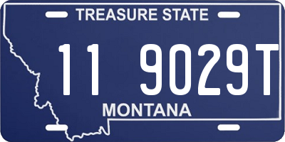 MT license plate 119029T