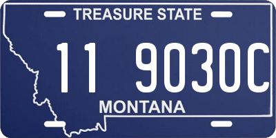 MT license plate 119030C
