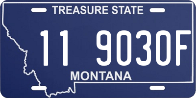 MT license plate 119030F