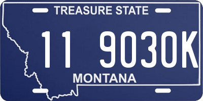 MT license plate 119030K