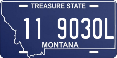 MT license plate 119030L