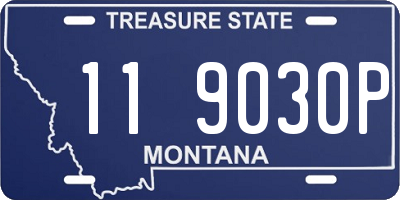 MT license plate 119030P