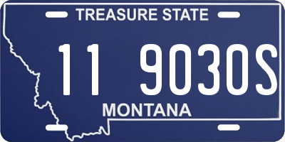 MT license plate 119030S