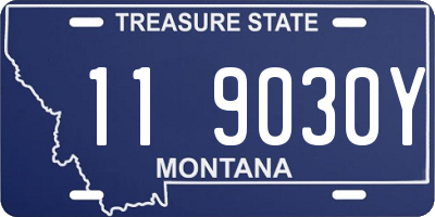 MT license plate 119030Y