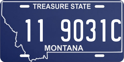 MT license plate 119031C