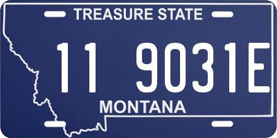 MT license plate 119031E
