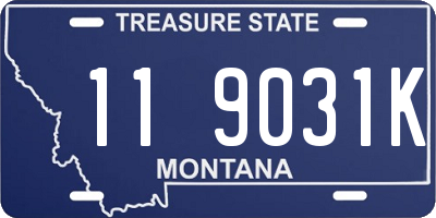 MT license plate 119031K
