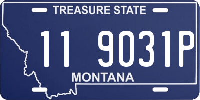 MT license plate 119031P
