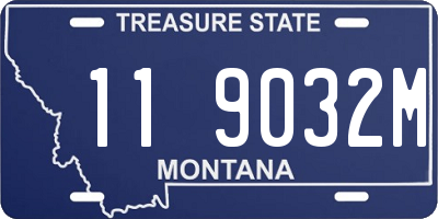 MT license plate 119032M