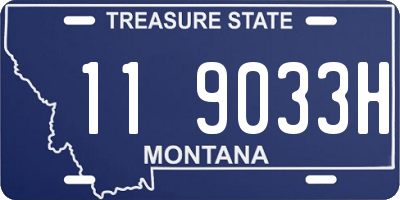 MT license plate 119033H