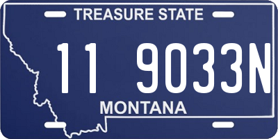 MT license plate 119033N