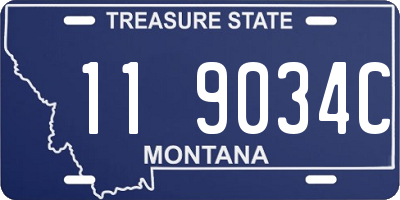 MT license plate 119034C