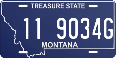 MT license plate 119034G