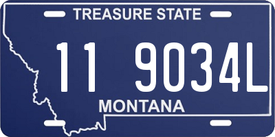 MT license plate 119034L