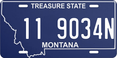 MT license plate 119034N