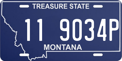 MT license plate 119034P