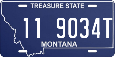 MT license plate 119034T