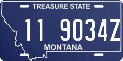 MT license plate 119034Z