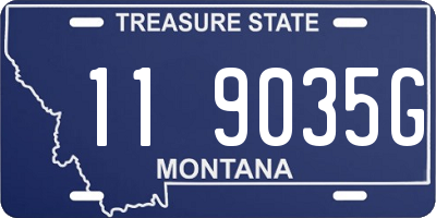 MT license plate 119035G