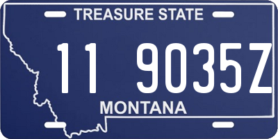 MT license plate 119035Z
