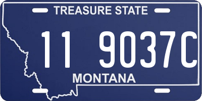 MT license plate 119037C