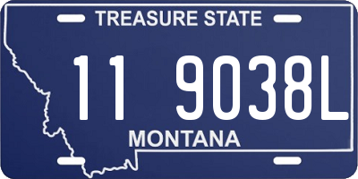 MT license plate 119038L