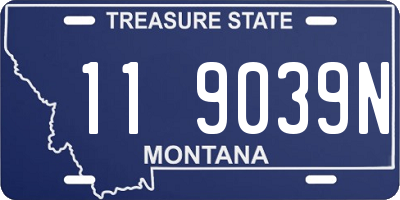MT license plate 119039N