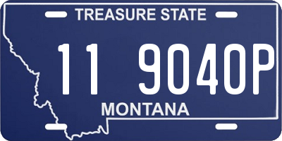MT license plate 119040P