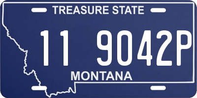 MT license plate 119042P