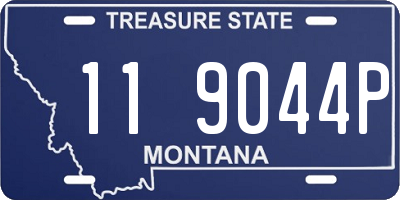 MT license plate 119044P