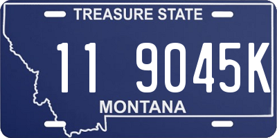 MT license plate 119045K