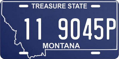 MT license plate 119045P