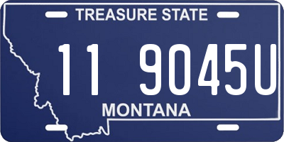 MT license plate 119045U
