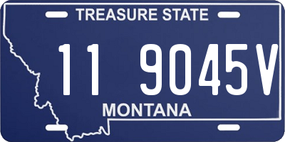 MT license plate 119045V