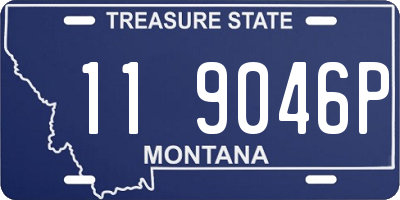 MT license plate 119046P