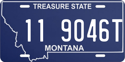 MT license plate 119046T