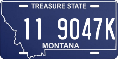 MT license plate 119047K