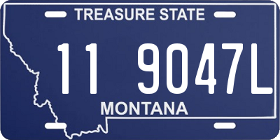 MT license plate 119047L