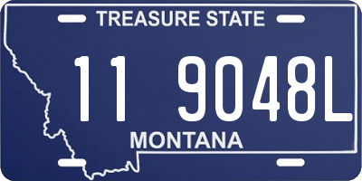 MT license plate 119048L