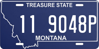 MT license plate 119048P