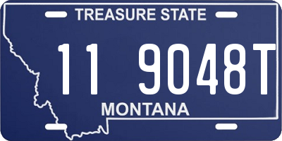 MT license plate 119048T