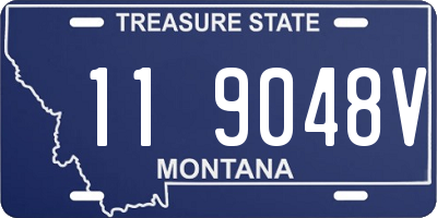 MT license plate 119048V