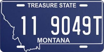MT license plate 119049T