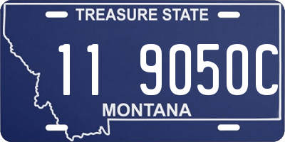 MT license plate 119050C